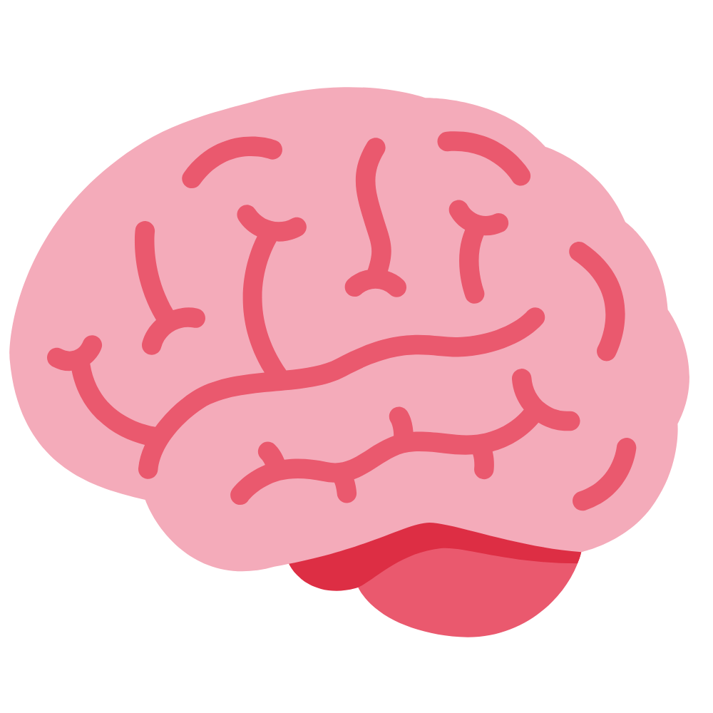 An illustration of a brain, representing expertise